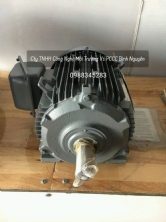 Động Cơ Hitachi B3 TFO-KK 11KW-2P